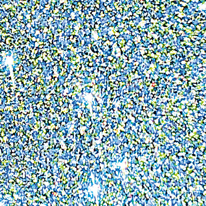 AGEHA FLASH GLITTER (FG-6)